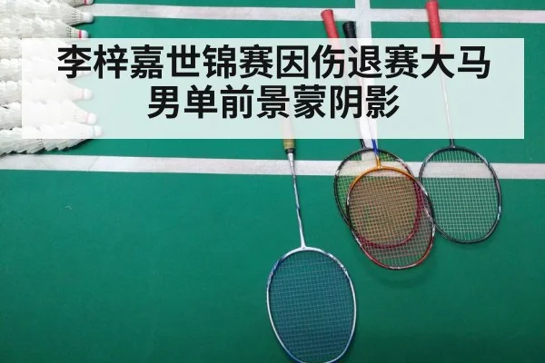 李梓嘉世锦赛因伤退赛大马男单前景蒙阴影