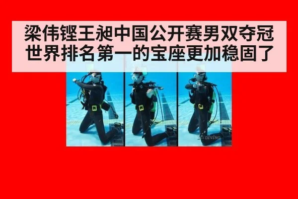 梁伟铿王昶中国公开赛男双夺冠世界排名第一的宝座更加稳固了